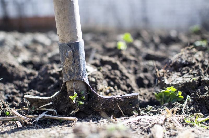 jardinerie-LA CADIERE D AZUR-min_equipment-2047314